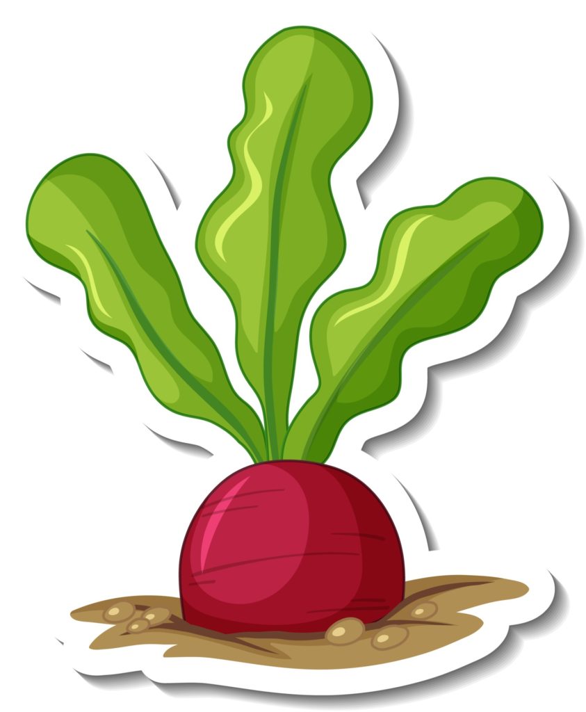 Beets Graphic